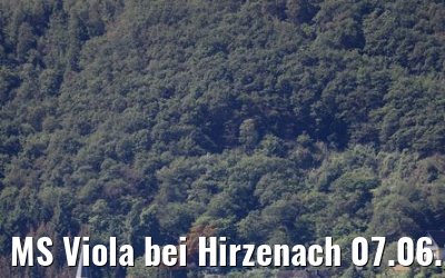 MS Viola bei Hirzenach 07.06.2019
