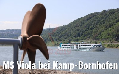 MS Viola bei Kamp-Bornhofen 07.06.2019