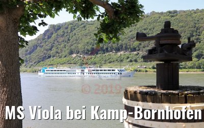 MS Viola bei Kamp-Bornhofen 07.06.2019
