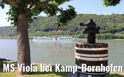 MS Viola bei Kamp-Bornhofen 07.06.2019
