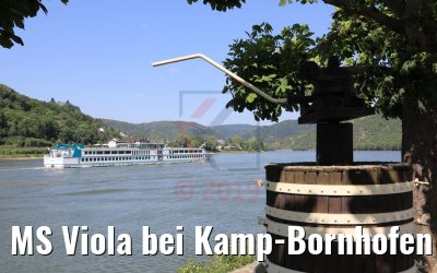 MS Viola bei Kamp-Bornhofen 07.06.2019