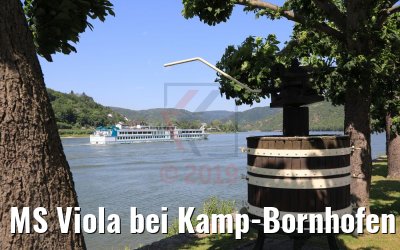 MS Viola bei Kamp-Bornhofen 07.06.2019
