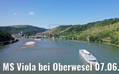 MS Viola bei Oberwesel 07.06.2019