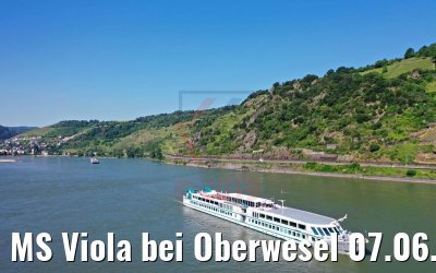 MS Viola bei Oberwesel 07.06.2019