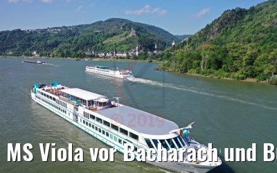 MS Viola vor Bacharach und Burg Stahleck 07.06.2019