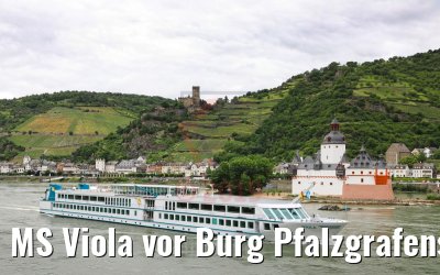 MS Viola vor Burg Pfalzgrafenstein 06.06.2019