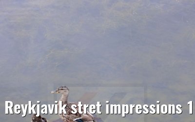 Reykjavik stret impressions 19.08.2021