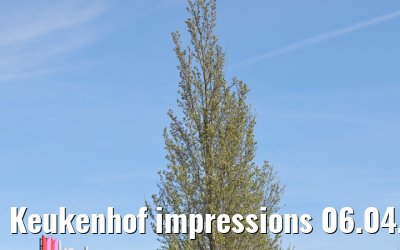 Keukenhof impressions 06.04.2026