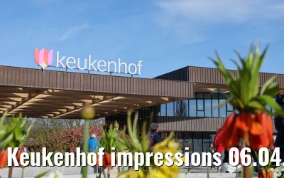 Keukenhof impressions 06.04.2026