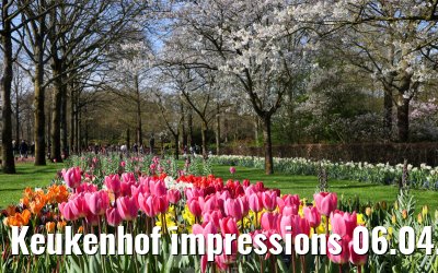 Keukenhof impressions 06.04.2026