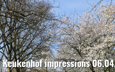 Keukenhof impressions 06.04.2026