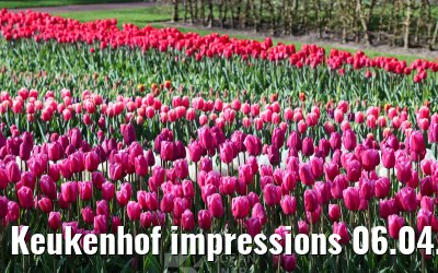 Keukenhof impressions 06.04.2026