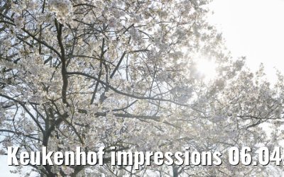 Keukenhof impressions 06.04.2026