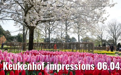 Keukenhof impressions 06.04.2026
