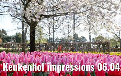 Keukenhof impressions 06.04.2026