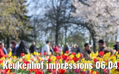 Keukenhof impressions 06.04.2026