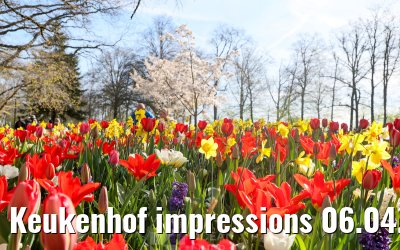 Keukenhof impressions 06.04.2026