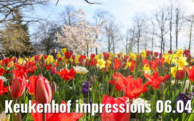 Keukenhof impressions 06.04.2026