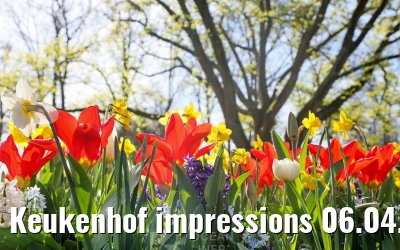 Keukenhof impressions 06.04.2026