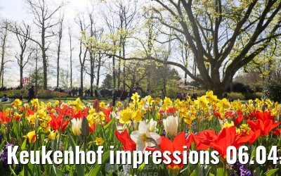 Keukenhof impressions 06.04.2026