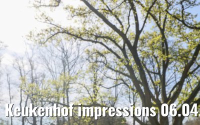 Keukenhof impressions 06.04.2026