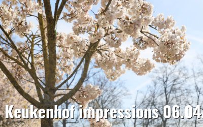 Keukenhof impressions 06.04.2026