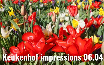 Keukenhof impressions 06.04.2026