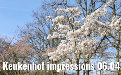 Keukenhof impressions 06.04.2026