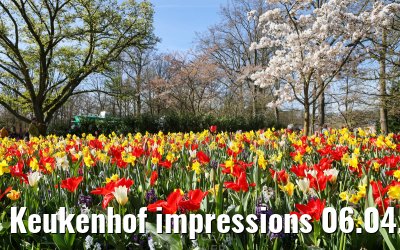 Keukenhof impressions 06.04.2026