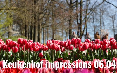Keukenhof impressions 06.04.2026