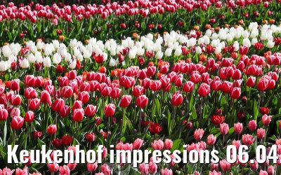 Keukenhof impressions 06.04.2026