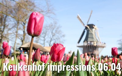 Keukenhof impressions 06.04.2026
