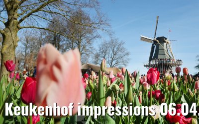 Keukenhof impressions 06.04.2026
