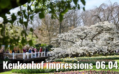 Keukenhof impressions 06.04.2026
