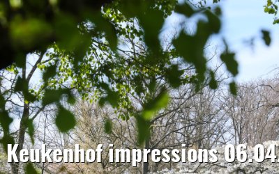 Keukenhof impressions 06.04.2026