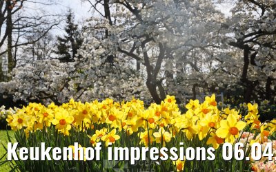 Keukenhof impressions 06.04.2026