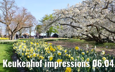 Keukenhof impressions 06.04.2026