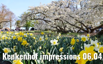 Keukenhof impressions 06.04.2026