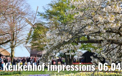 Keukenhof impressions 06.04.2026