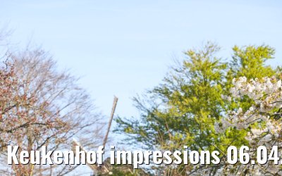 Keukenhof impressions 06.04.2026