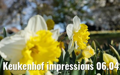 Keukenhof impressions 06.04.2026
