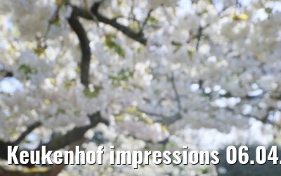 Keukenhof impressions 06.04.2026