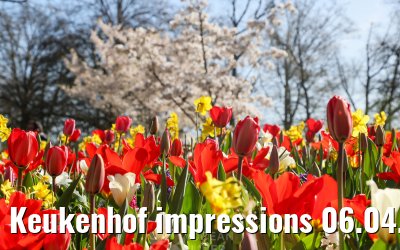 Keukenhof impressions 06.04.2026