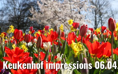 Keukenhof impressions 06.04.2026