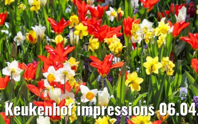 Keukenhof impressions 06.04.2026