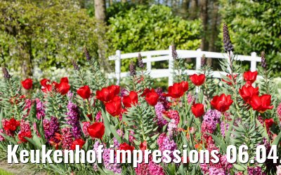Keukenhof impressions 06.04.2026