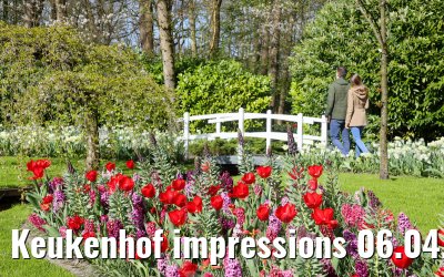 Keukenhof impressions 06.04.2026