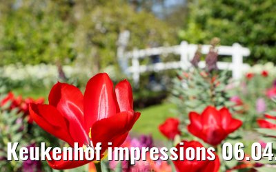 Keukenhof impressions 06.04.2026