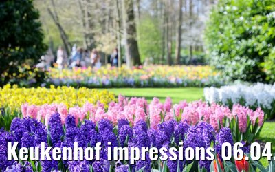 Keukenhof impressions 06.04.2026