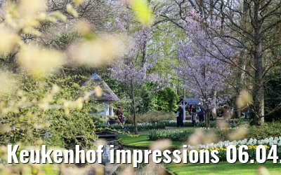 Keukenhof impressions 06.04.2026